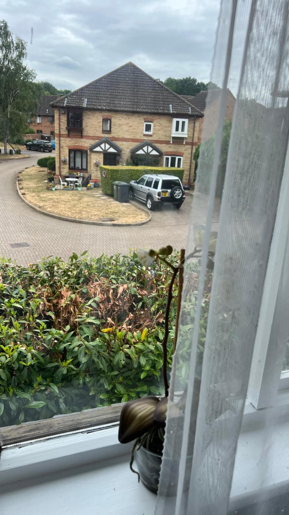 Beautiful Apartment In Guildford With Parking Send Экстерьер фото
